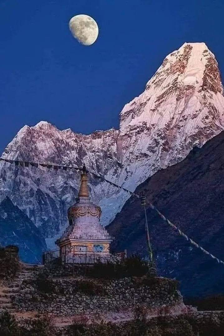 A Snow Leopard Tracking Journey ▎Awakening Expedition - Gandhanra-ART