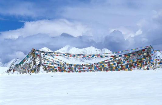 Returning to Tibet twenty years ago.