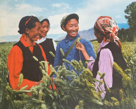 Smiles from 1974 ▎ Landscapes in Memory (Part 1)