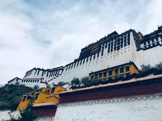 Southern Himalayans in Tibet ▎ An Outsider's View - Gandhanra-ART