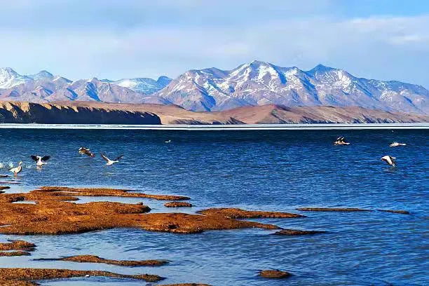 The Sacred Lake of the Heart: Manasarovar's (Mapang Yongcuo) Ten Thousand Shades of Blue - Gandhanra-ART