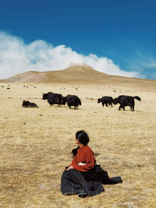 The Heartbeat of Snowy Peaks Through the Lens of the World Mobile Photography Award Champion