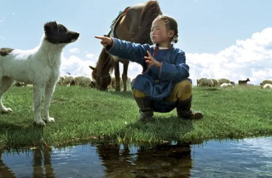 Poems for the Animals