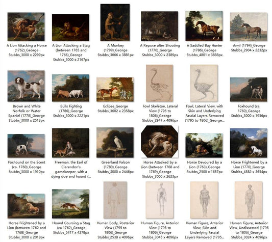 62 Painting Images by George Stubbs (English, 1724-1806) - Gandhanra-ART