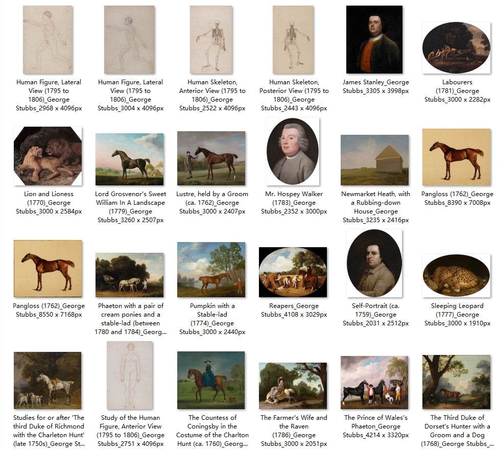 62 Painting Images by George Stubbs (English, 1724-1806) - Gandhanra-ART