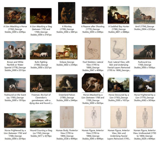 62 Painting Images by George Stubbs (English, 1724-1806) - Gandhanra-ART