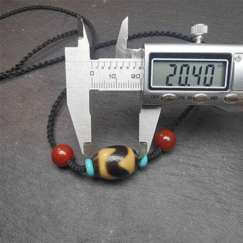 Tiger Tooth Dalo Dzi Bead Necklace,40 Years Old - Gandhanra-ART
