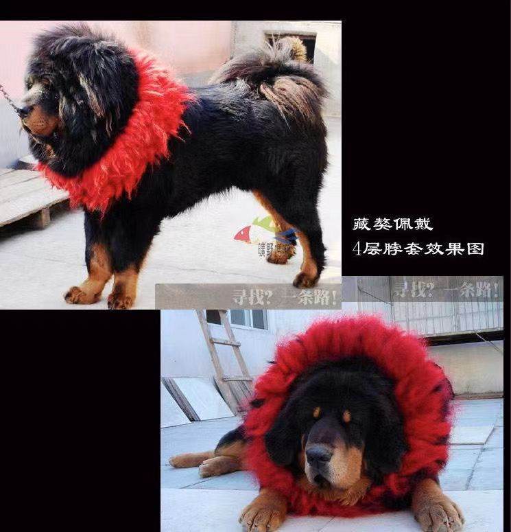 Traditional Kekhor Collar of Tibetan Mastiff - Gandhanra-ART