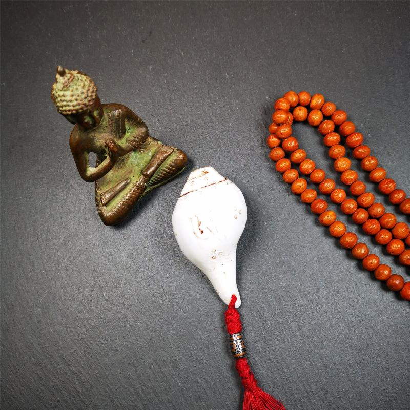 White Shankha Ritual 2.8"
