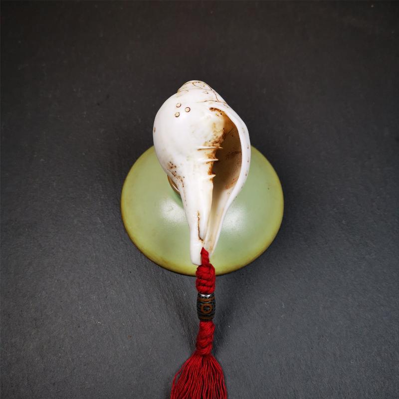 White Shankha Ritual 2.8"