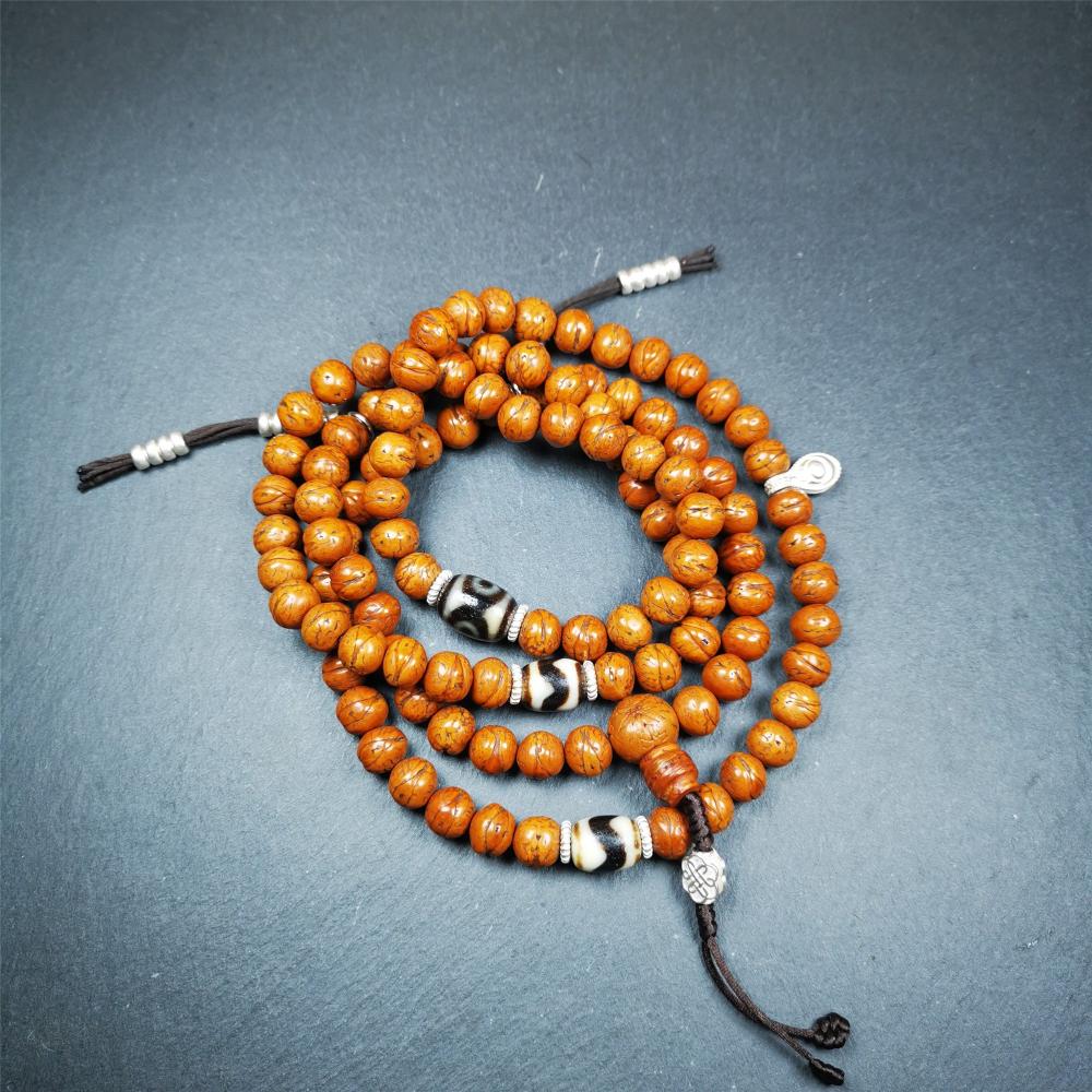 This old bodhi seed beads mala was collected from Derge county,hold and blessed by a lama in Gengqing monastery, about 30 years old.  It is composed of 108 bodhi seed beads, and is equipped with 3 dzi beads, silver spacer beads, bead counters and maini jewel clip,and finally consists a lucky knot bead on the end, very elegant.