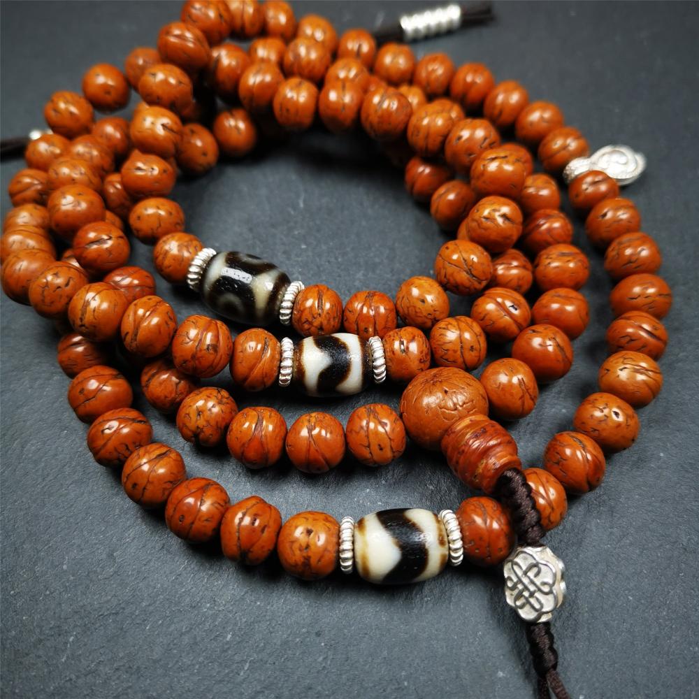 This old bodhi seed beads mala was collected from Derge county,hold and blessed by a lama in Gengqing monastery, about 30 years old. It is composed of 108 bodhi seed beads, and is equipped with 3 dzi beads, silver spacer beads, bead counters and maini jewel clip,and finally consists a lucky knot bead on the end, very elegant.
