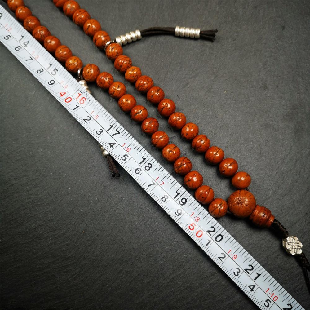 This old bodhi seed beads mala was collected from Derge county,hold and blessed by a lama in Gengqing monastery, about 30 years old. It is composed of 108 bodhi seed beads, and is equipped with 3 dzi beads, silver spacer beads, bead counters and maini jewel clip,and finally consists a lucky knot bead on the end, very elegant.