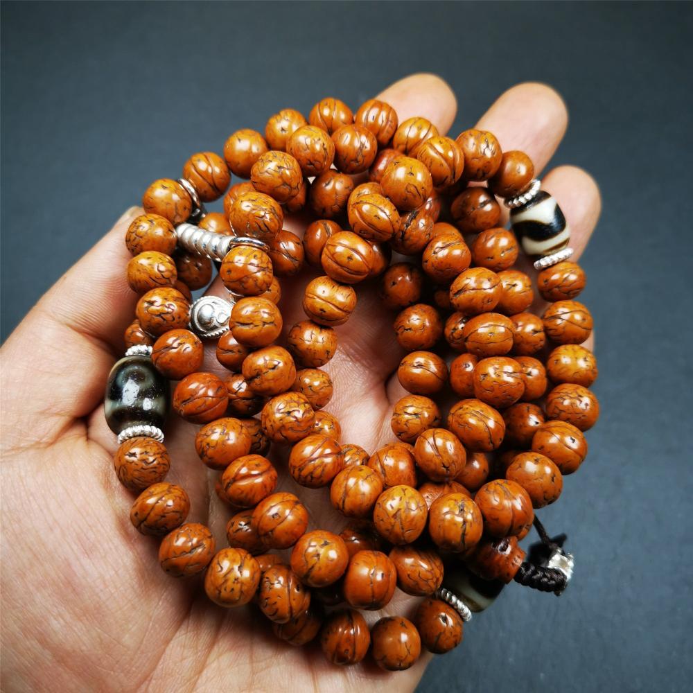 This old bodhi seed beads mala was collected from Derge county,hold and blessed by a lama in Gengqing monastery, about 30 years old. It is composed of 108 bodhi seed beads, and is equipped with 3 dzi beads, silver spacer beads, bead counters and maini jewel clip,and finally consists a lucky knot bead on the end, very elegant.