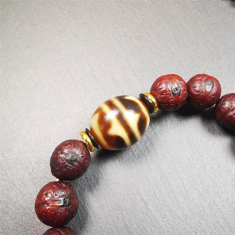 Tiger Tooth Dzi Bracelet - Gandhanra-ART
