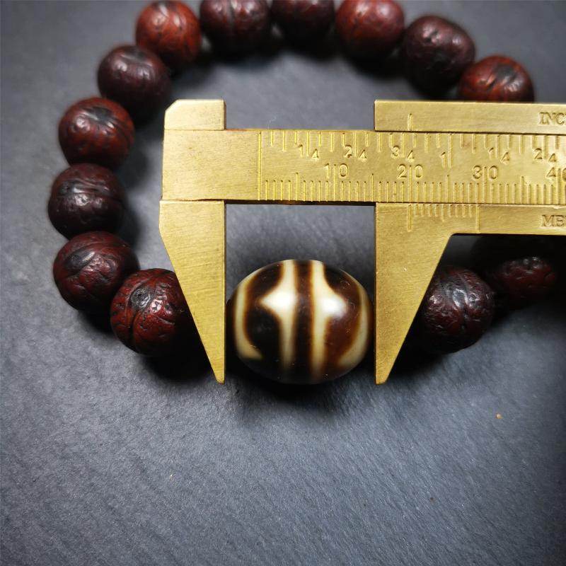 Tiger Tooth Dzi Bracelet - Gandhanra-ART
