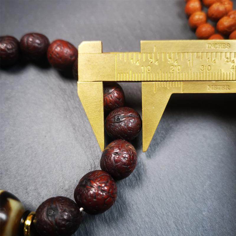 Tiger Tooth Dzi Bracelet - Gandhanra-ART