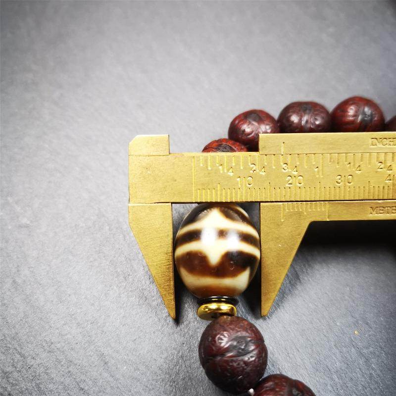 Tiger Tooth Dzi Bracelet - Gandhanra-ART