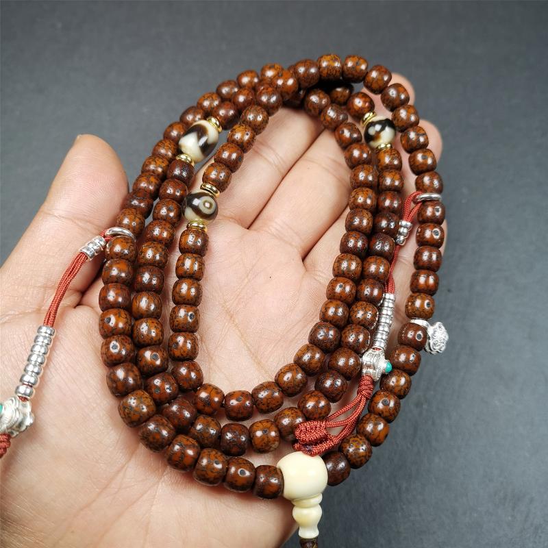 This old lotus seed mala was handmade from tibetan crafts man in Baiyu County,about 30 years old. It's composed of 108 lotus seed beads,then add some dzi beads,1 pair of silver bead counters,and ivory guru bead on i