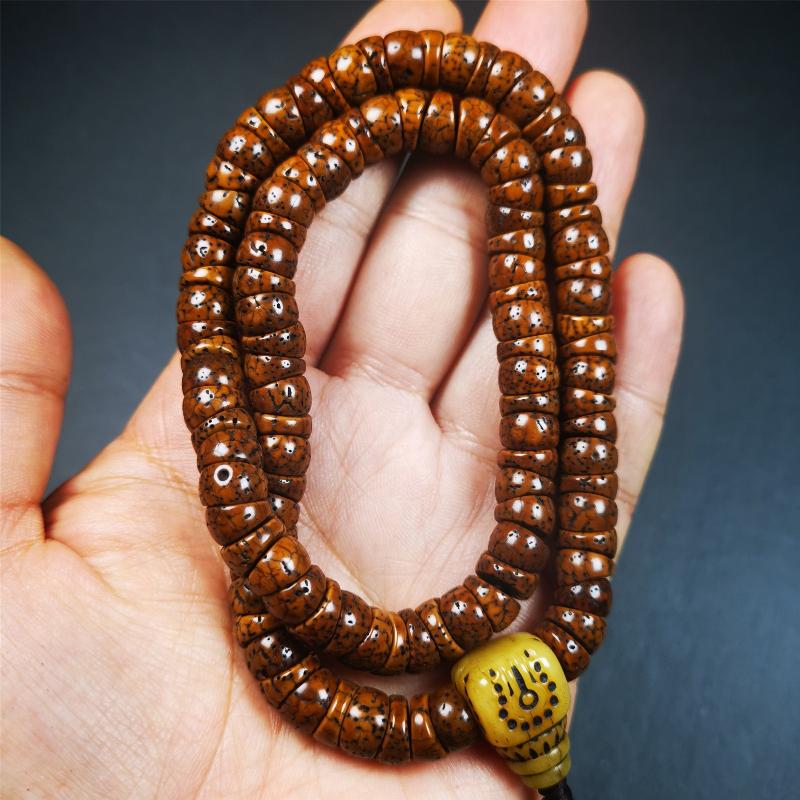 This lotus seed mala was collected from Baiyu county,about 40 years old,hold and blessed by a lama. It is composed of 108 bodhi seed beads, bevel cut shape,brown color,and 1 yak bone guru bead.