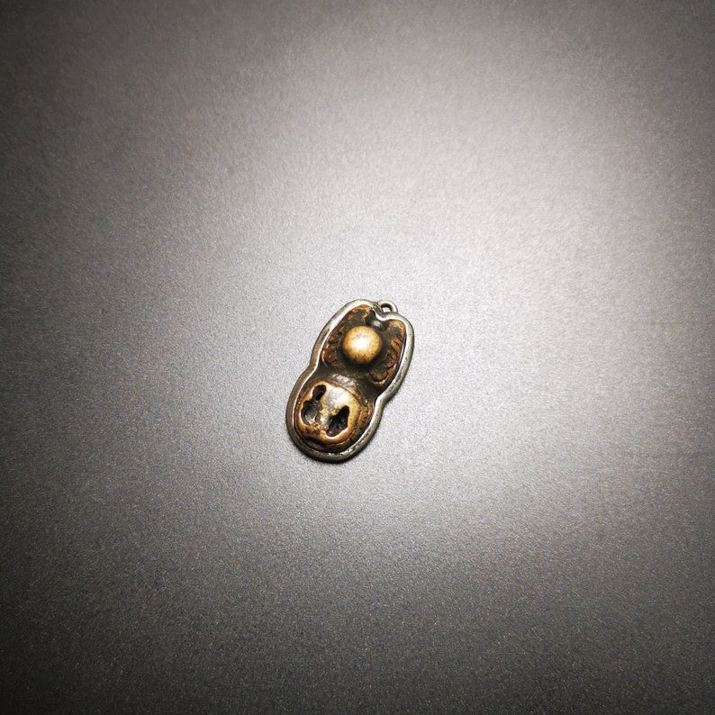 Amulet,Snow Lion Pendant