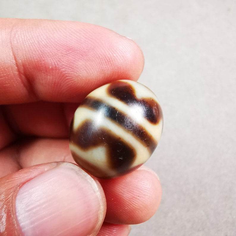 Tiger Tooth Dalo Dzi Bead - Gandhanra-ART