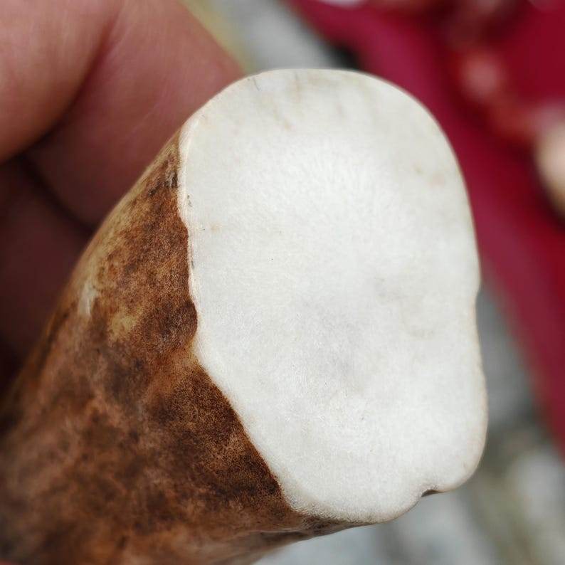 Citipat Skull Bead Bracelet,Wrist Mala - Gandhanra-ART