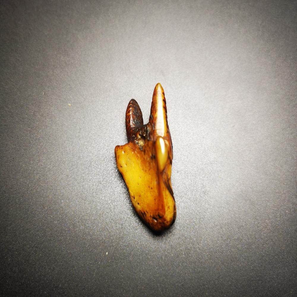 Gandhanra Tibetan Yak Bone Carved Amulet,Bone Pendant,Yak Bull Head Sculpture - Gandhanra-ART