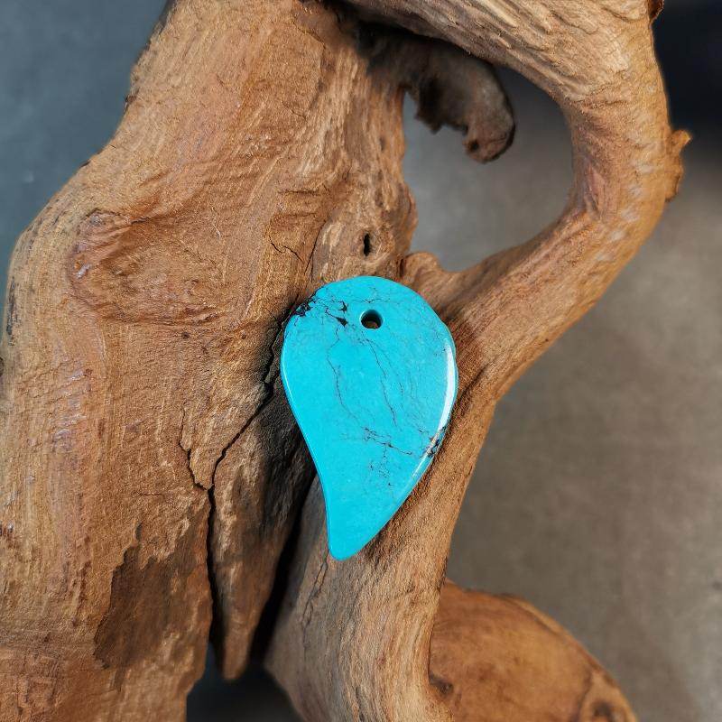 Gandhanra Handmade Tibetan Shankha Amulet,Turquoise Carved Conch Pendant with Leather Cord - Gandhanra-ART