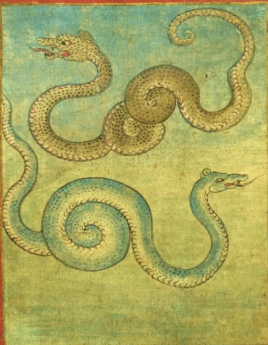 Snake (སྦྲུལ་) and Tibetan Folklore - Gandhanra-ART