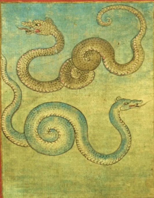Snake (སྦྲུལ་) and Tibetan Folklore - Gandhanra-ART