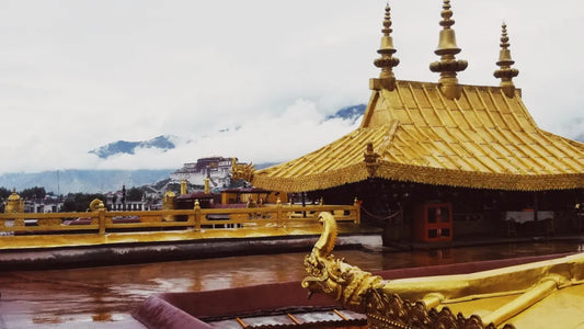 Listen to the Heavenly Sounds from the Streets of Lhasa ▎Masters of the Holy City (III)