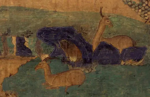 Embarking on an adventure | Happy New Year - Gandhanra-ART