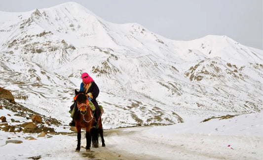 The first Westerner to document the entire Tea Horse Road
