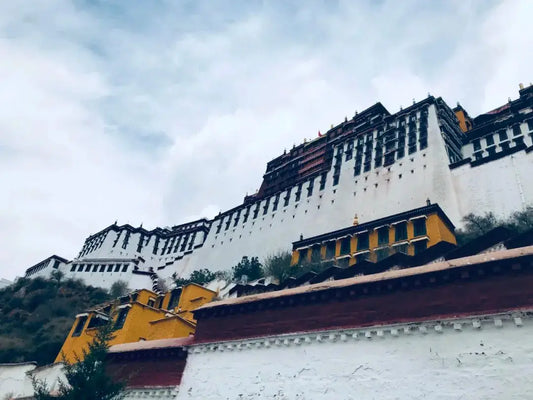 Southern Himalayans in Tibet ▎ An Outsider's View - Gandhanra-ART