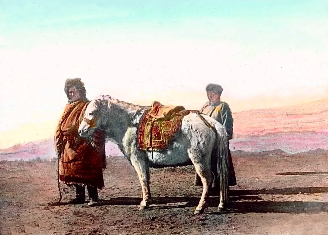 What did the early color photographs of Tibet look like?