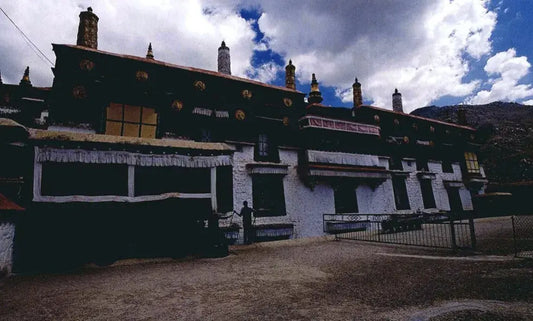 A heart as unshaken as a rock ▎ Texts and Images of Drepung Monastery (II)