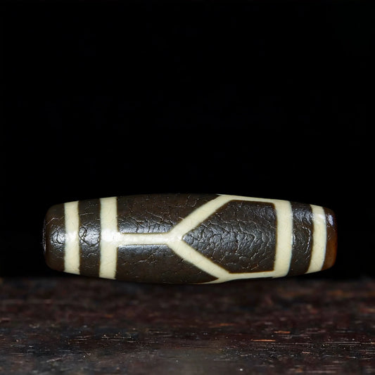 Longevity Tortoise Dzi Bead Meaning: Benefits, Symbolism & How to Use