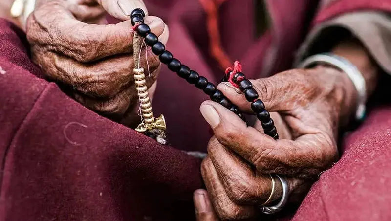 Beyond Time and Space: The Emerald Ladakh ▎ French Photographer at the Precious Heritage Museum