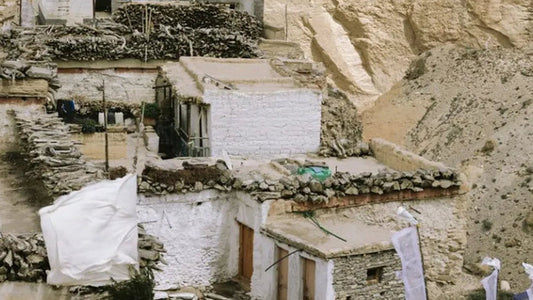 The defunct kingdom of "Mustang", the romance of the wild planet.