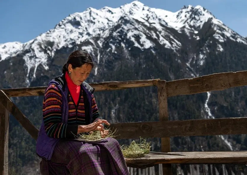 Bhutan's indigenous Layap ▎Royal Highland Festival, the vanishing polyandry and bamboo hat culture