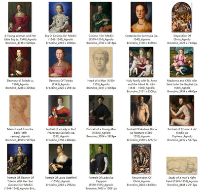 29 Painting Images by Agnolo Bronzino (Italian, 1503-1572)