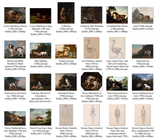 62 Painting Images by George Stubbs English, 1724-1806 - Tibetan Buddhist thangka, front view