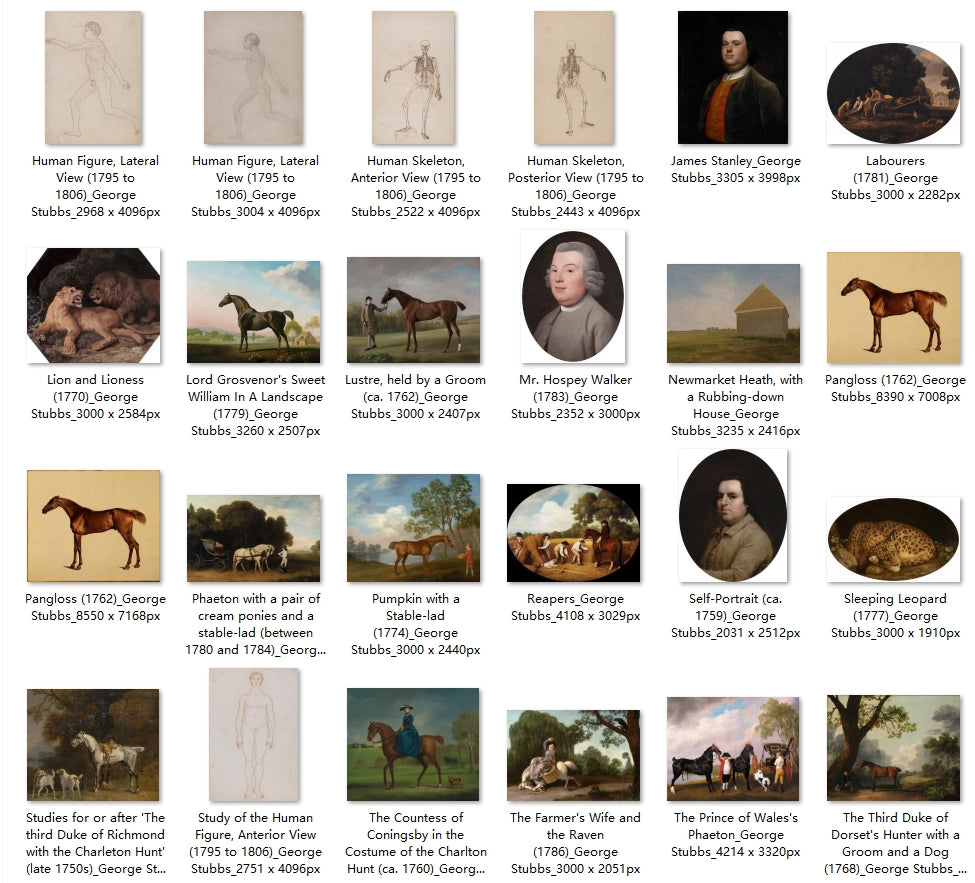 62 Painting Images by George Stubbs (English, 1724-1806)