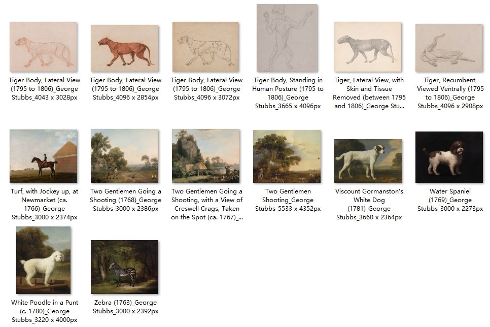 62 Painting Images by George Stubbs (English, 1724-1806)