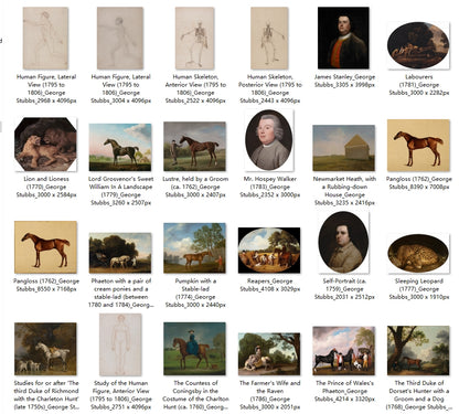 62 Painting Images by George Stubbs (English, 1724-1806)