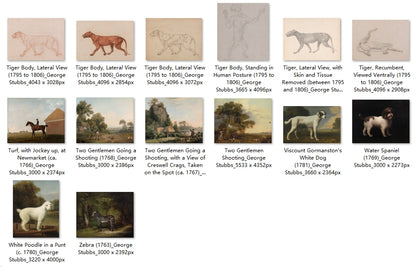 62 Painting Images by George Stubbs (English, 1724-1806)