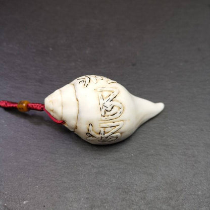 White Conch Shankha 3.31"×1.69"