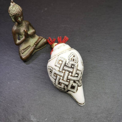 White Conch Shankha 3.66"×2.17"