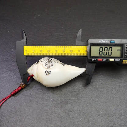 White Conch Shankha 3.15" - Tibetan Buddhist art, view 8